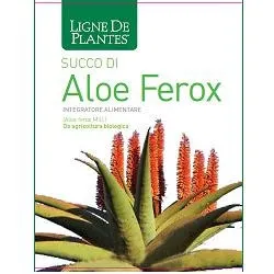 Succo Aloe Ferox Bio 1 Litro