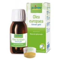 Boiron Olea Europaea 60 Ml Macerato Glicerico