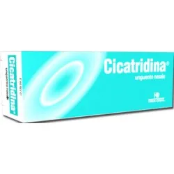 Farma derma Cicatridina unguento nasale con acido ialuronico 15 g