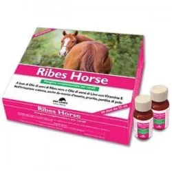 NBF Lanes Ribes Horse mangime per cavalli 30 Flaconi Da 25 Ml